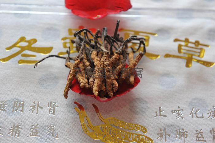 产品目录 - 上海子儒食品销售管理 - 「自助贸易」免费网站